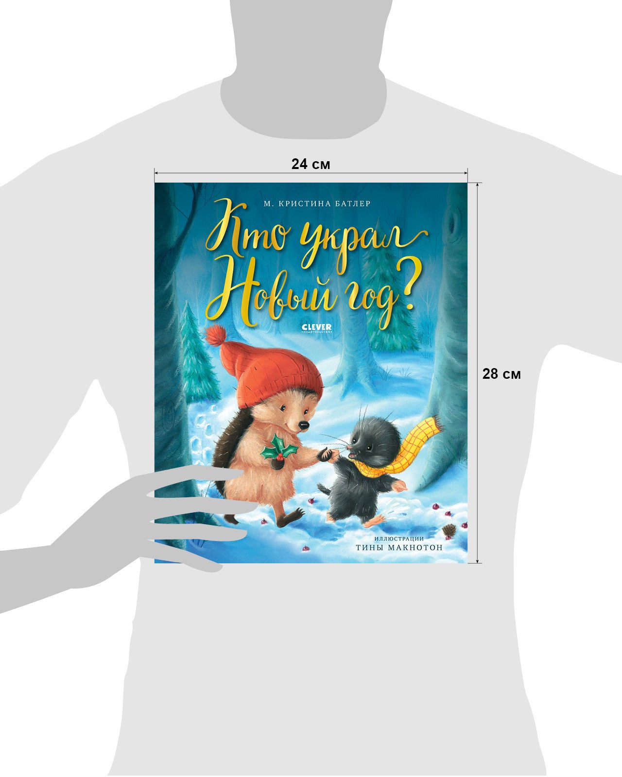 Книжки-картинки. Кто украл Новый год?