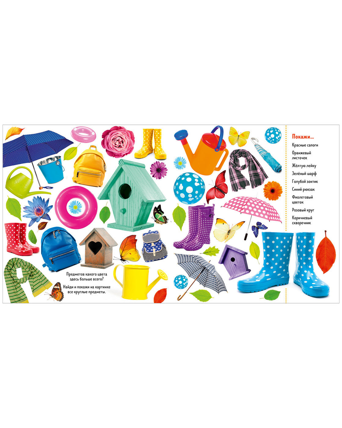 Найди и покажи. Фотокниги. Времена года