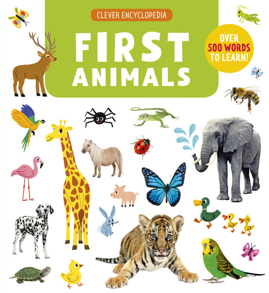 First Animals