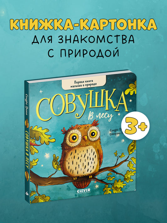 Книжки-картонки. Совушка в лесу. Первая книга малыша о природе