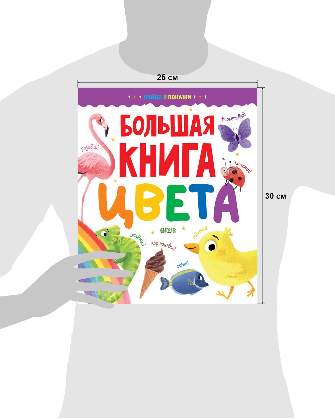 Найди и покажи. Большая книга. Цвета