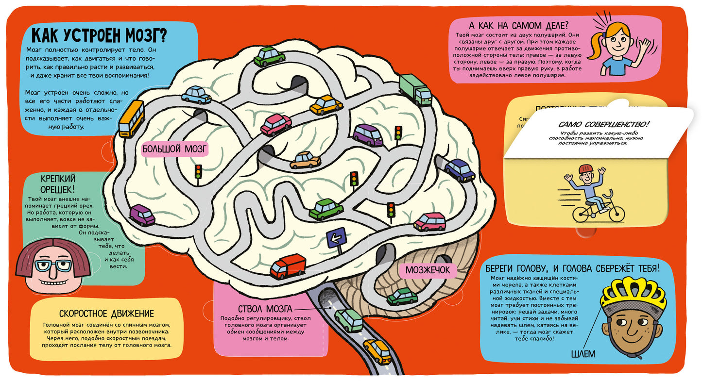 Маленькие исследователи. Удивительное тело