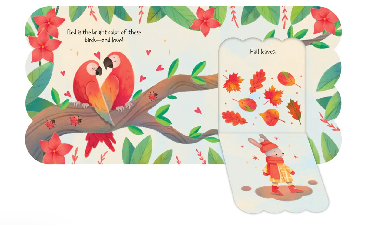 מארז ספרים ראשונים באנגלית מלידה עד 5 שנים