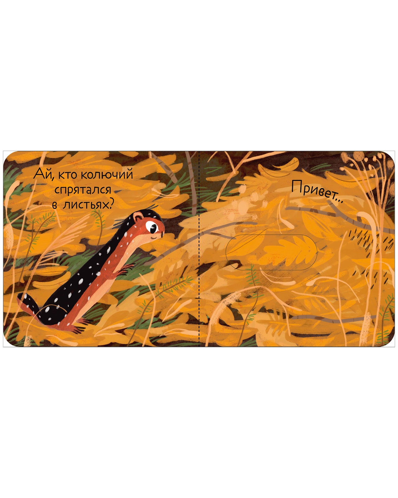 Вжух! Кто где живет?