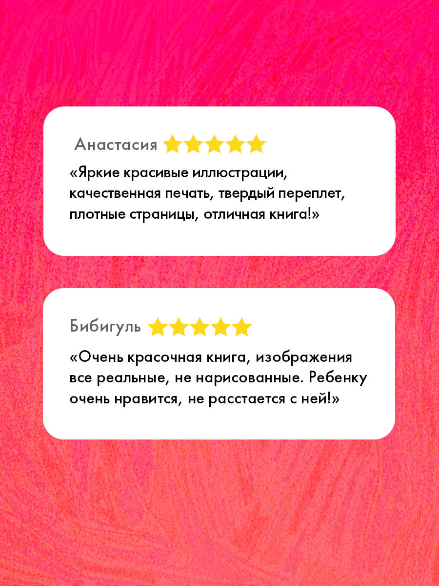 Первые знания. Фотокниги. Фотокнига Первые слова