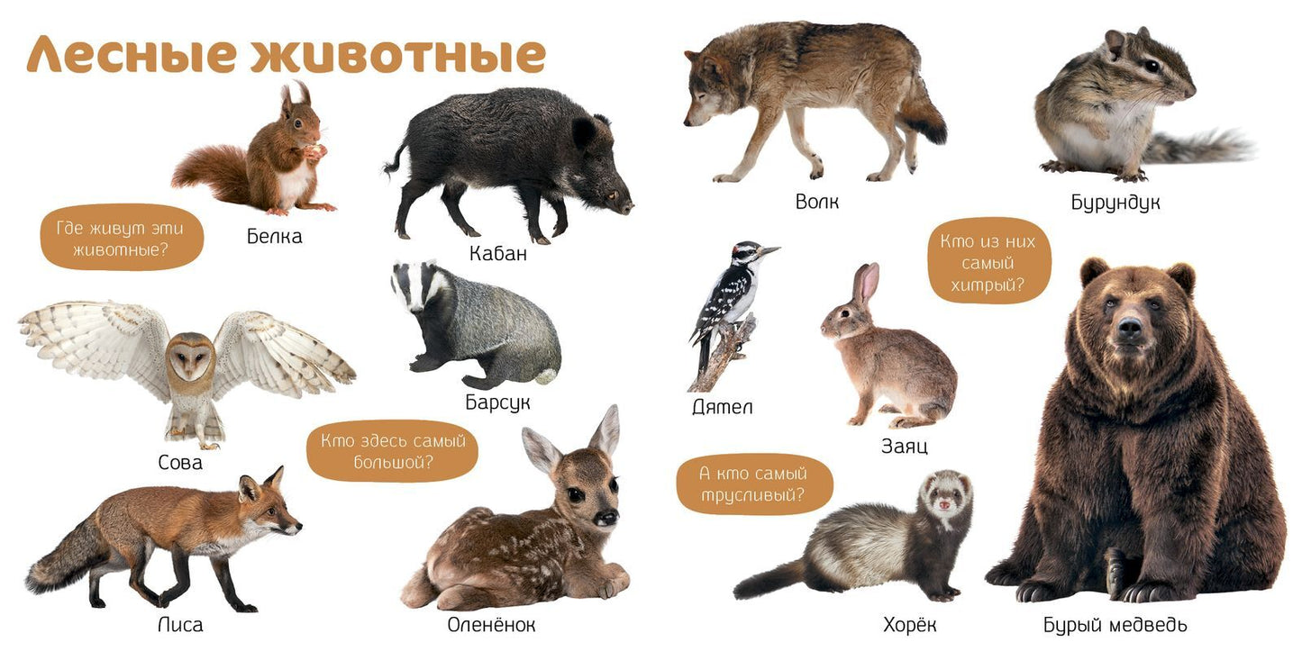 Познаем мир вместе. Мои первые фотокниги. Изучаем мир