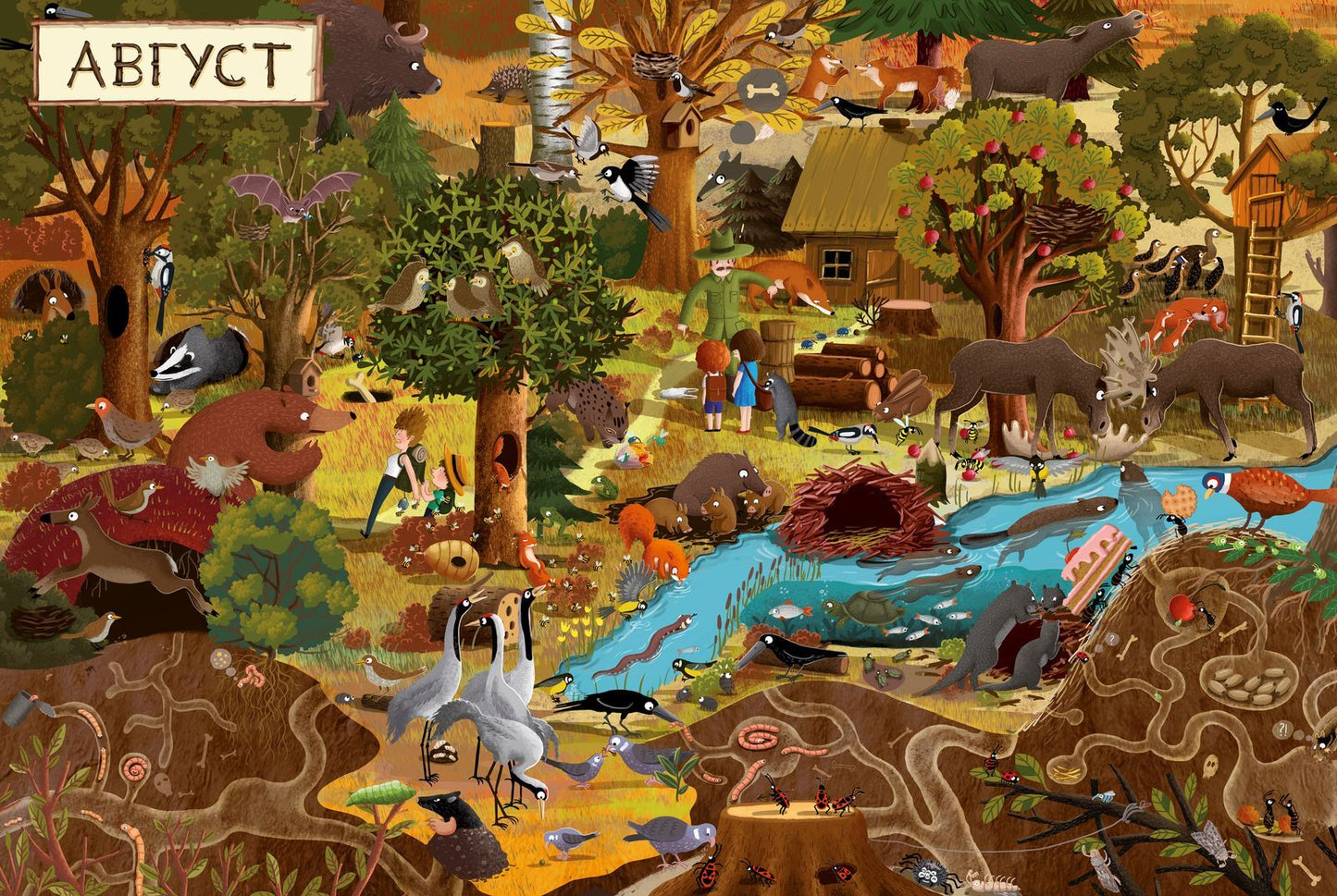 Год в лесу. Найди и покажи