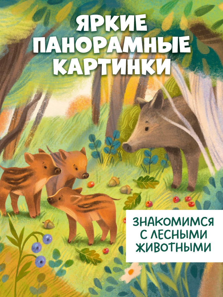 Книжка с окошками. Лес