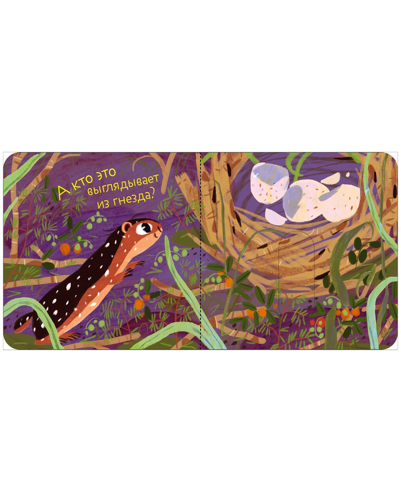 Вжух! Кто где живет?