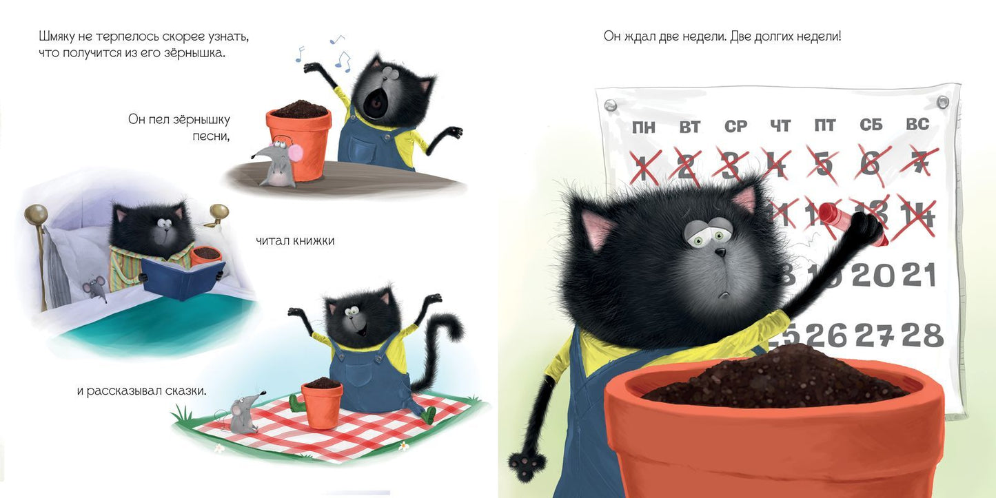 Котенок Шмяк и загадочное зернышко