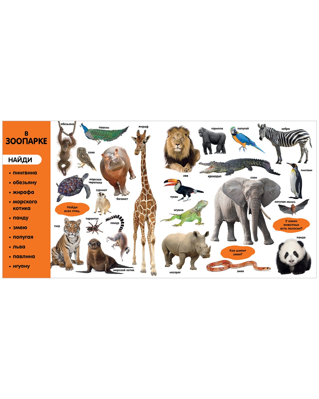 Первые знания. Фотокниги. Фотокнига Первые слова