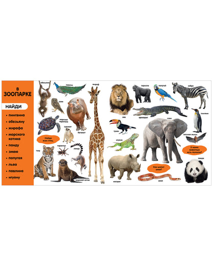 Первые знания. Фотокниги. Фотокнига Первые слова