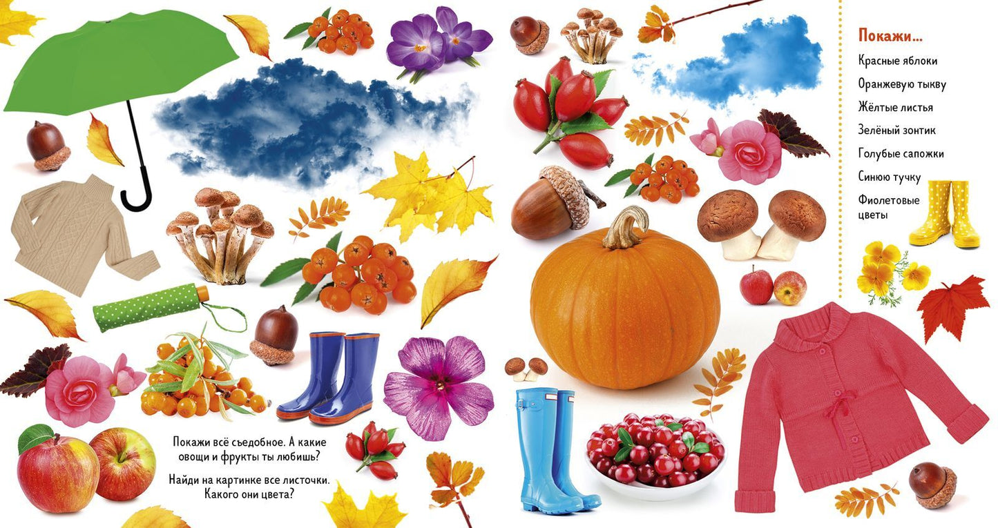 Найди и покажи. Фотокниги. Времена года