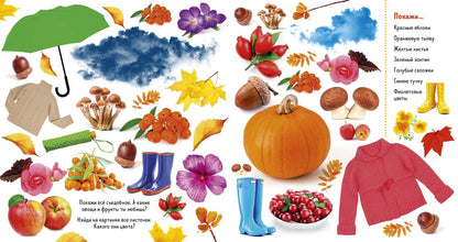 Найди и покажи. Фотокниги. Времена года