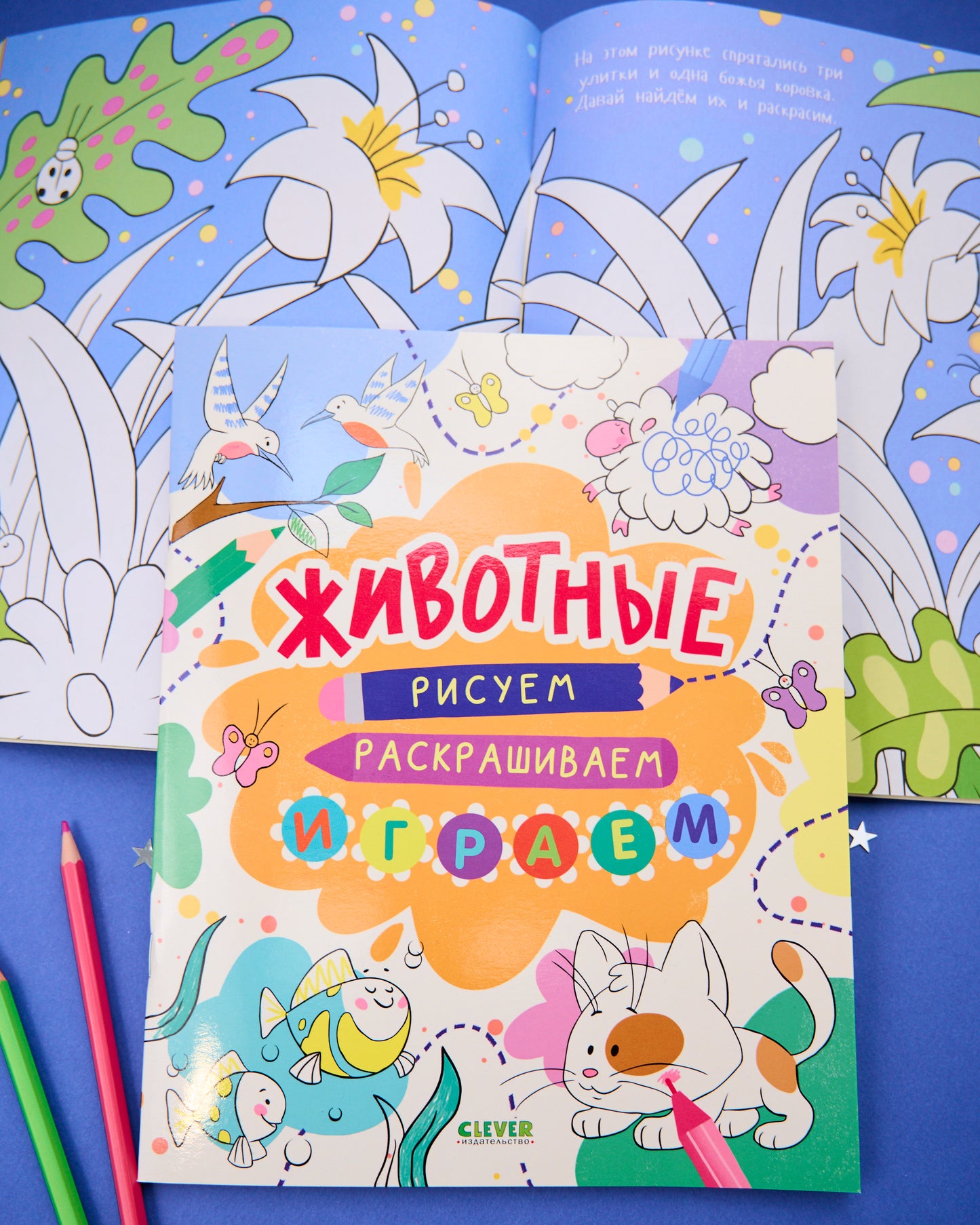 Рисуем и играем. Животные. Рисуем, раскрашиваем, играем