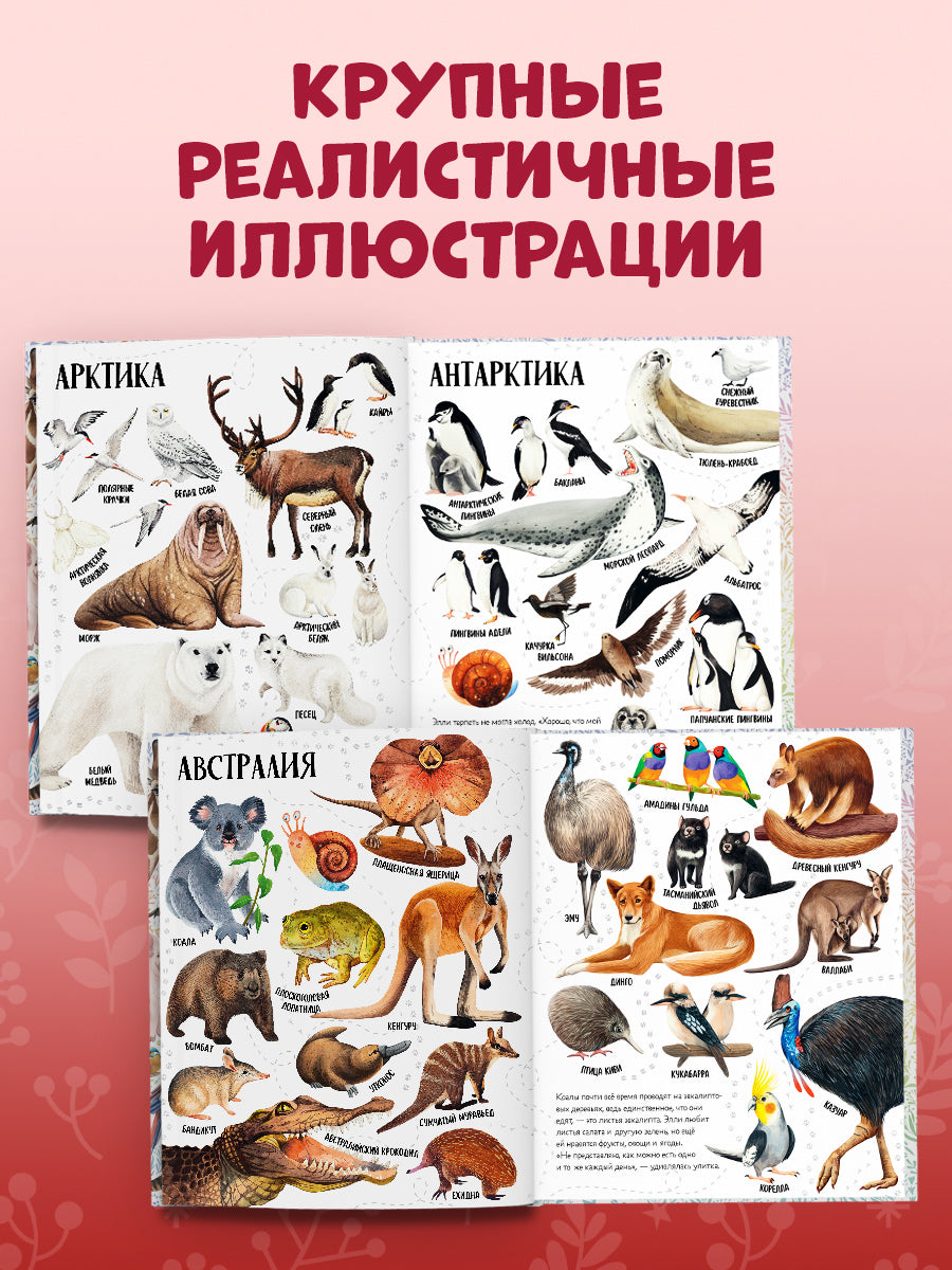 Первые книжки малыша. Приключения улитки Элли в мире животных (мягкая обложка)