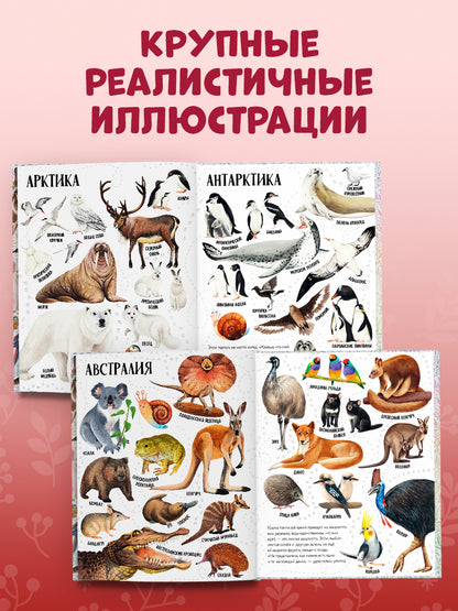Первые книжки малыша. Приключения улитки Элли в мире животных (мягкая обложка)