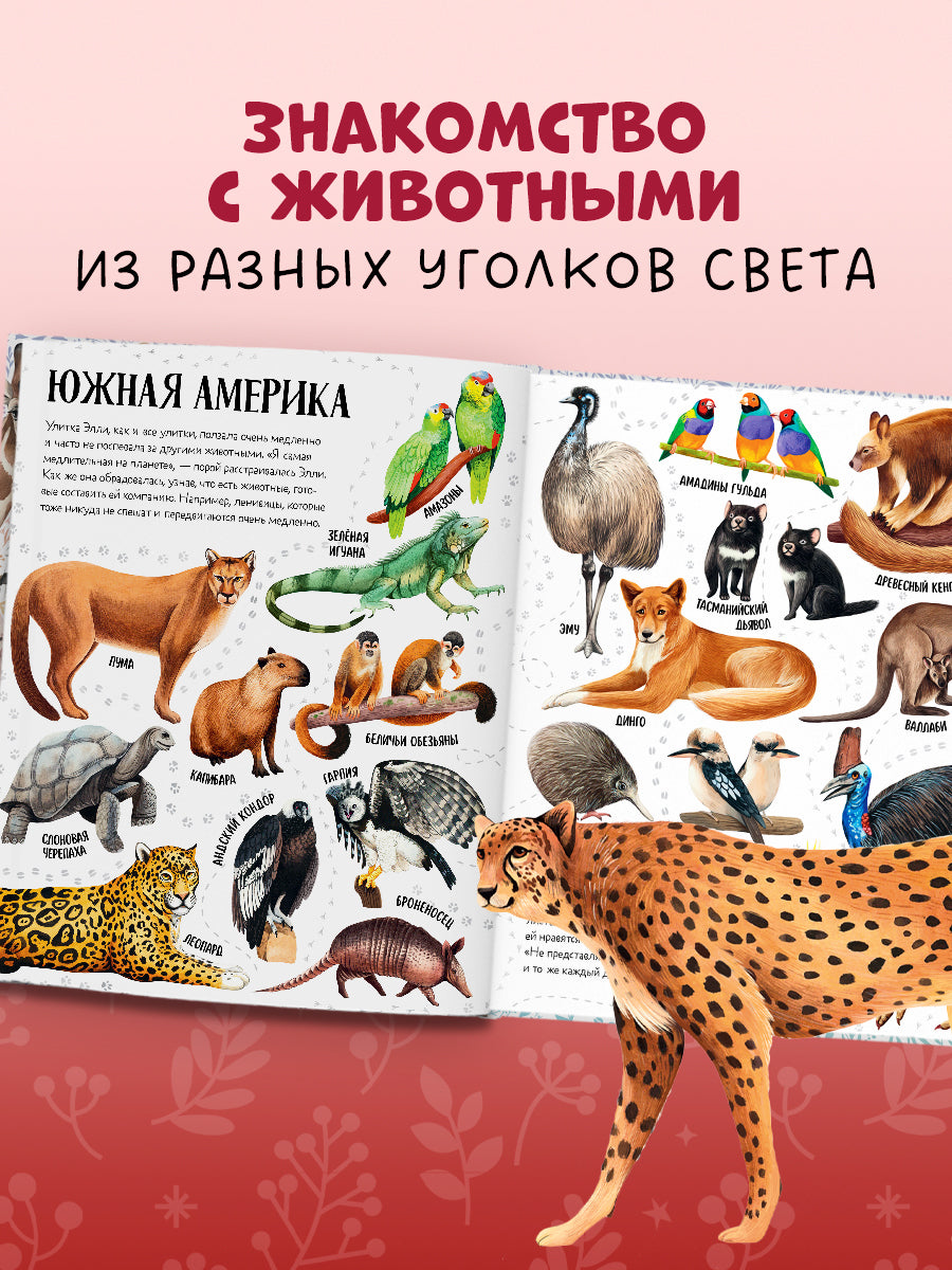 Первые книжки малыша. Приключения улитки Элли в мире животных (мягкая обложка)