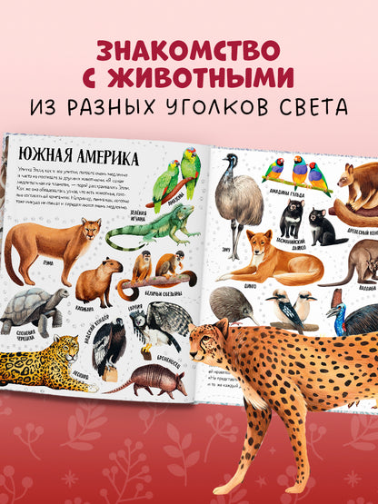 Первые книжки малыша. Приключения улитки Элли в мире животных (мягкая обложка)