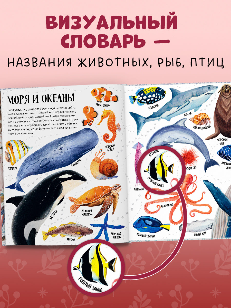 Первые книжки малыша. Приключения улитки Элли в мире животных (мягкая обложка)