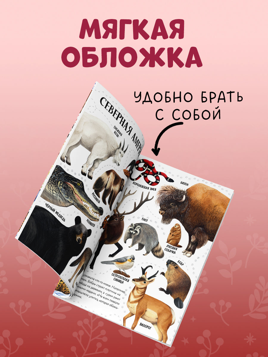 Первые книжки малыша. Приключения улитки Элли в мире животных (мягкая обложка)