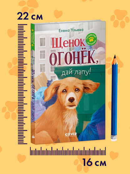 Пушистые истории. Щенок Огонек, дай лапу!