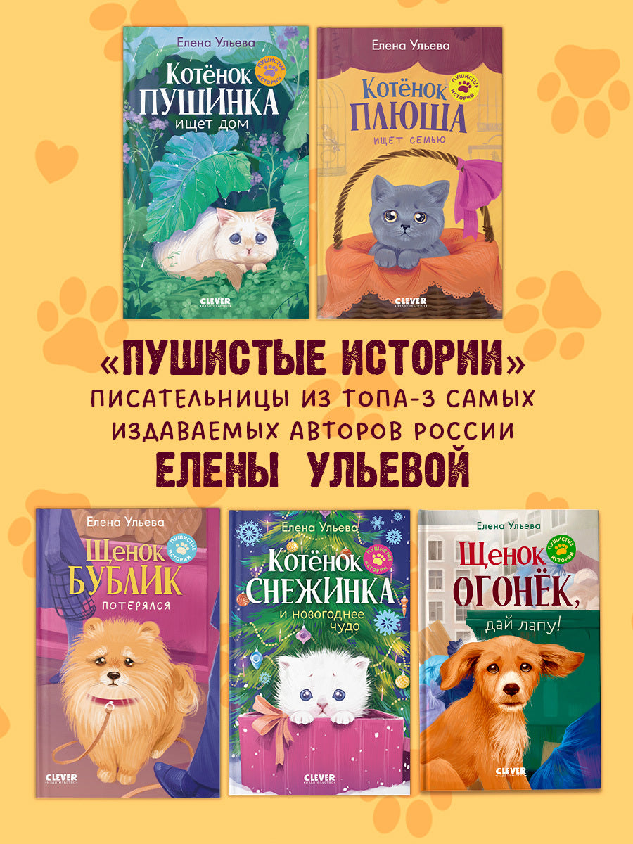 Пушистые истории. Щенок Огонек, дай лапу!