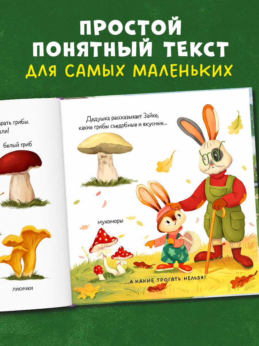 Книжки-картинки. Зайка и золотая осень