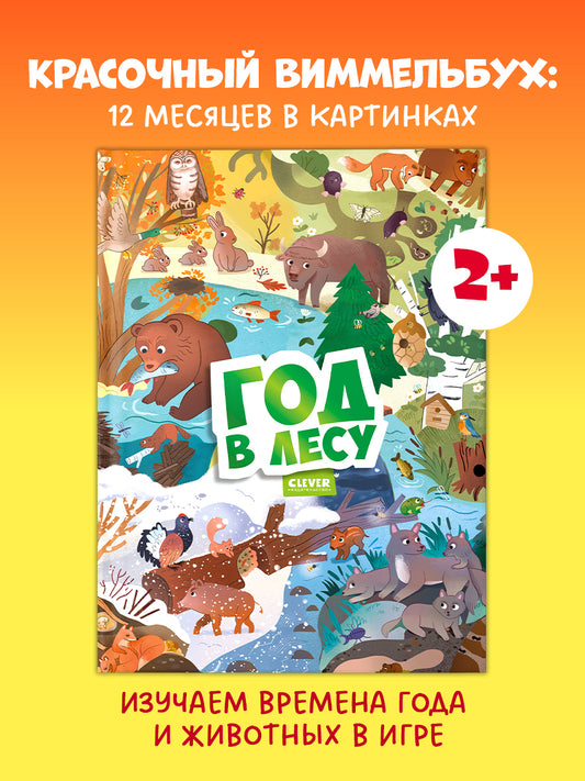 Виммельбух. Круглый год. Год в лесу