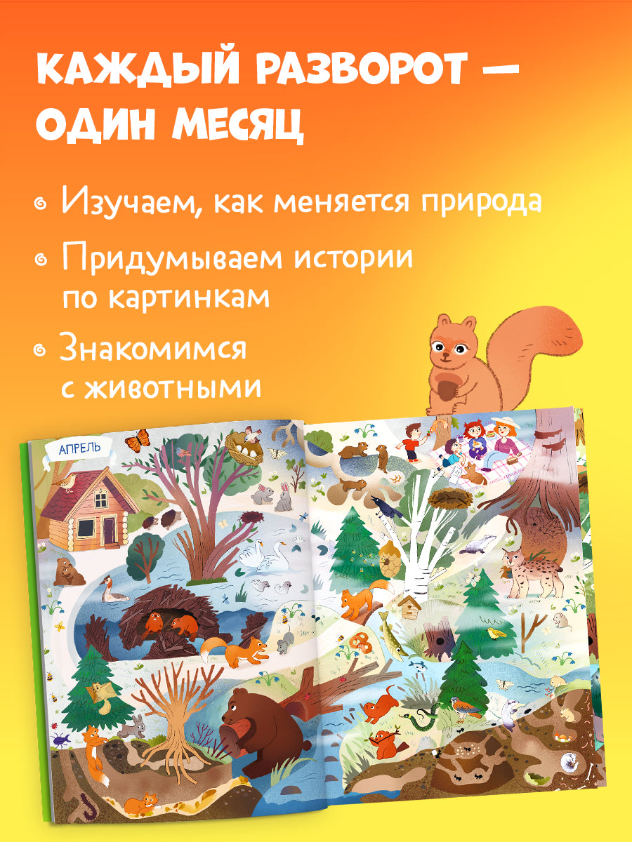 Виммельбух. Круглый год. Год в лесу