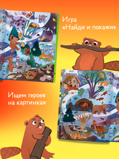 Виммельбух. Круглый год. Год в лесу