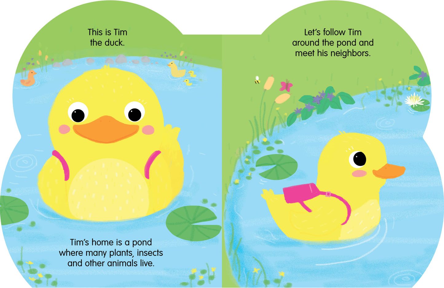 Danny's Pond Adventure