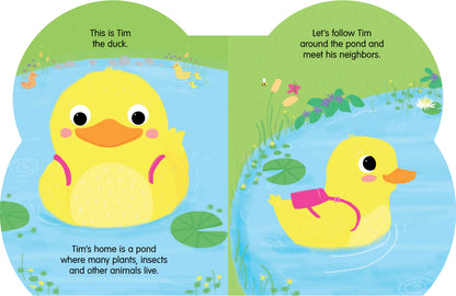 Danny's Pond Adventure