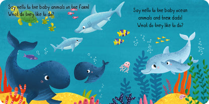 In the Ocean