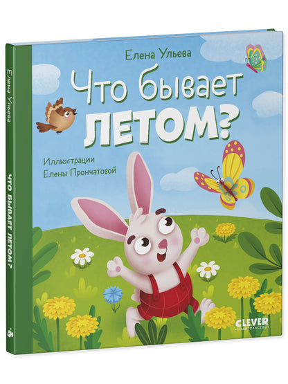 Любознательный малыш. Что бывает летом?