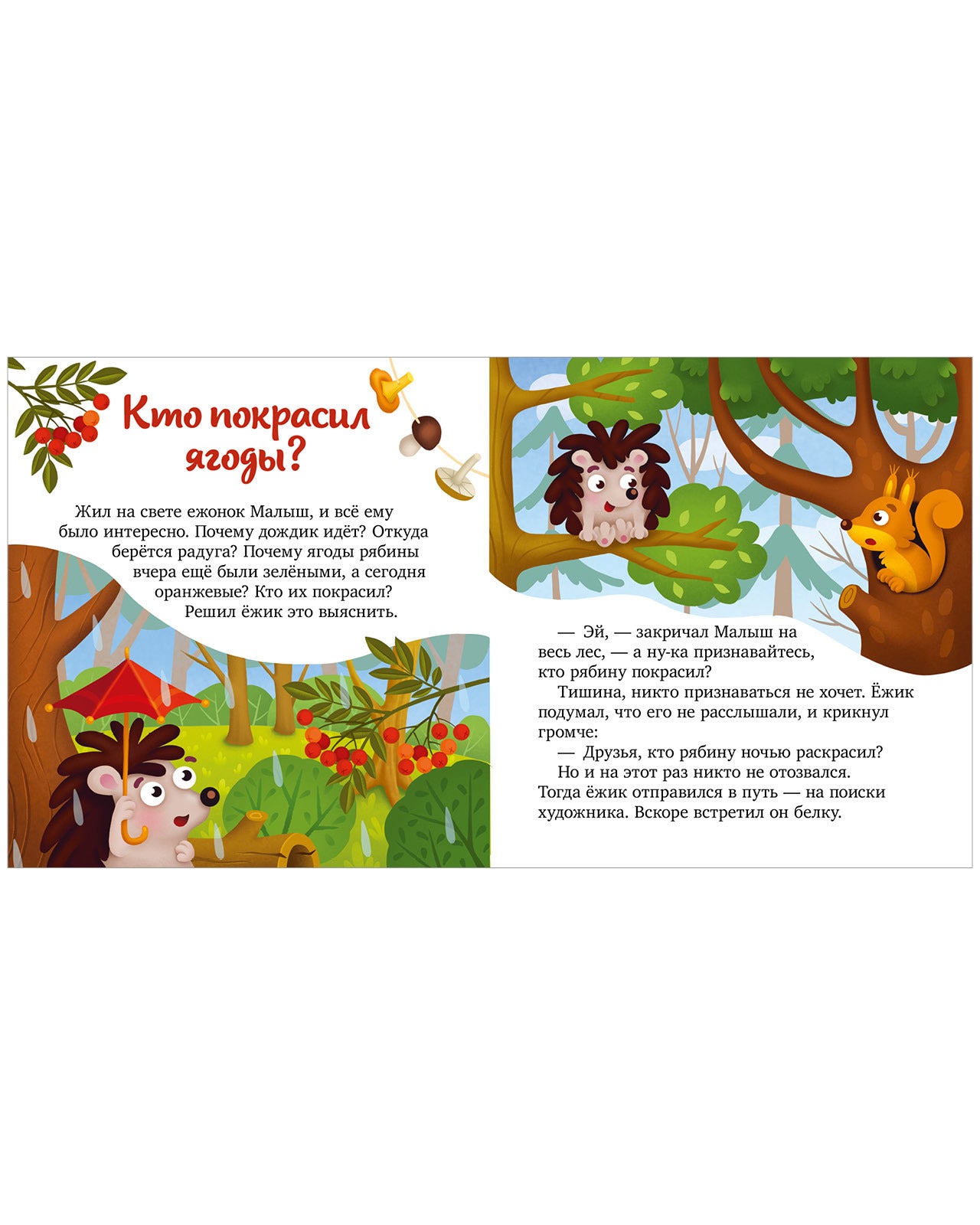 Любознательный малыш. Что бывает летом?