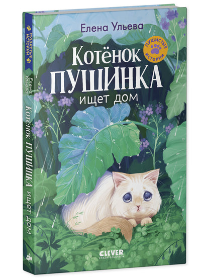 Пушистые истории. Котенок Пушинка ищет дом