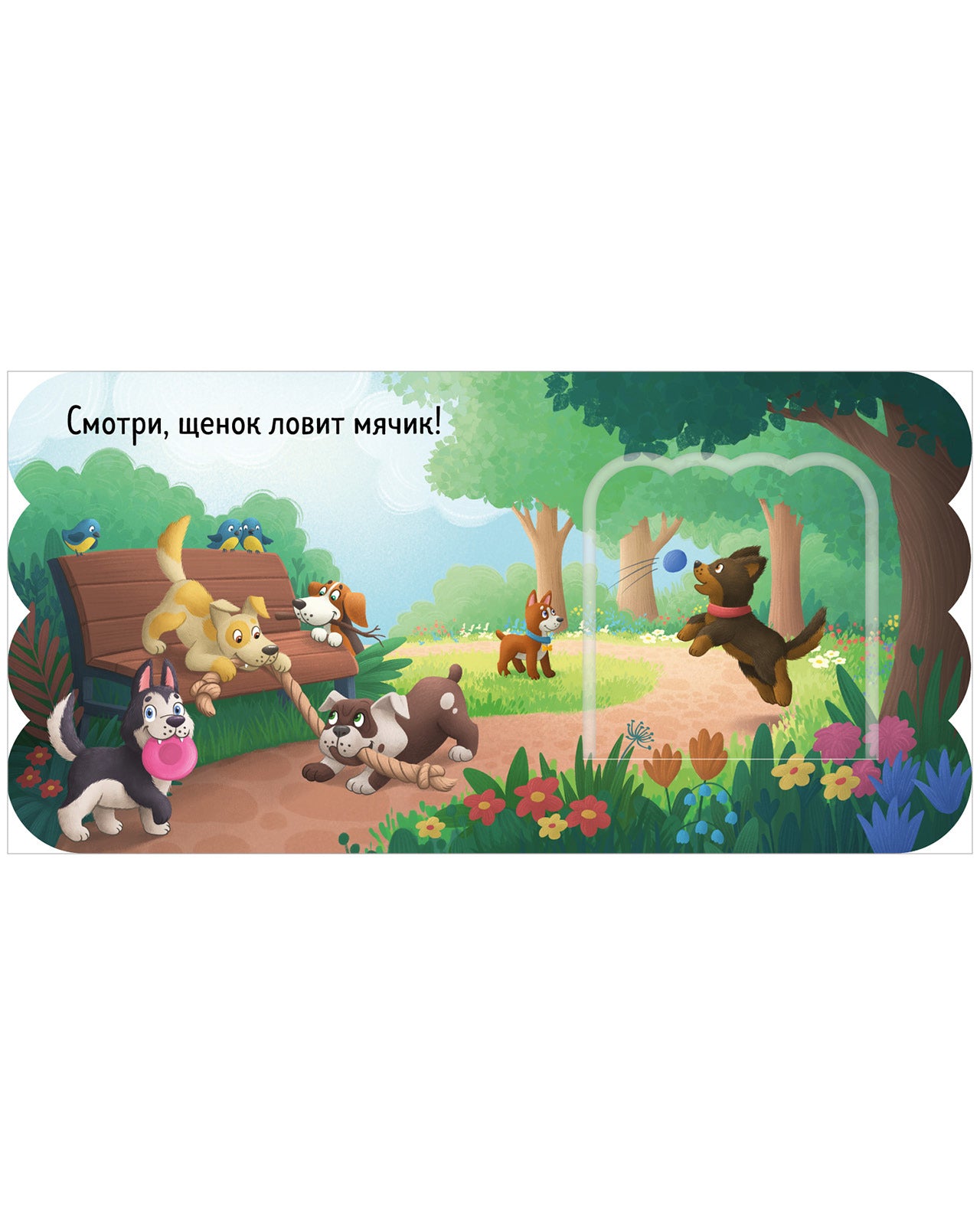 Книжка с окошками. Щенки