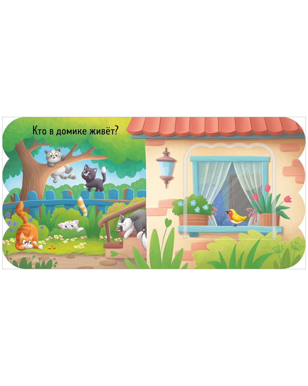 Книжка с окошками. Котята