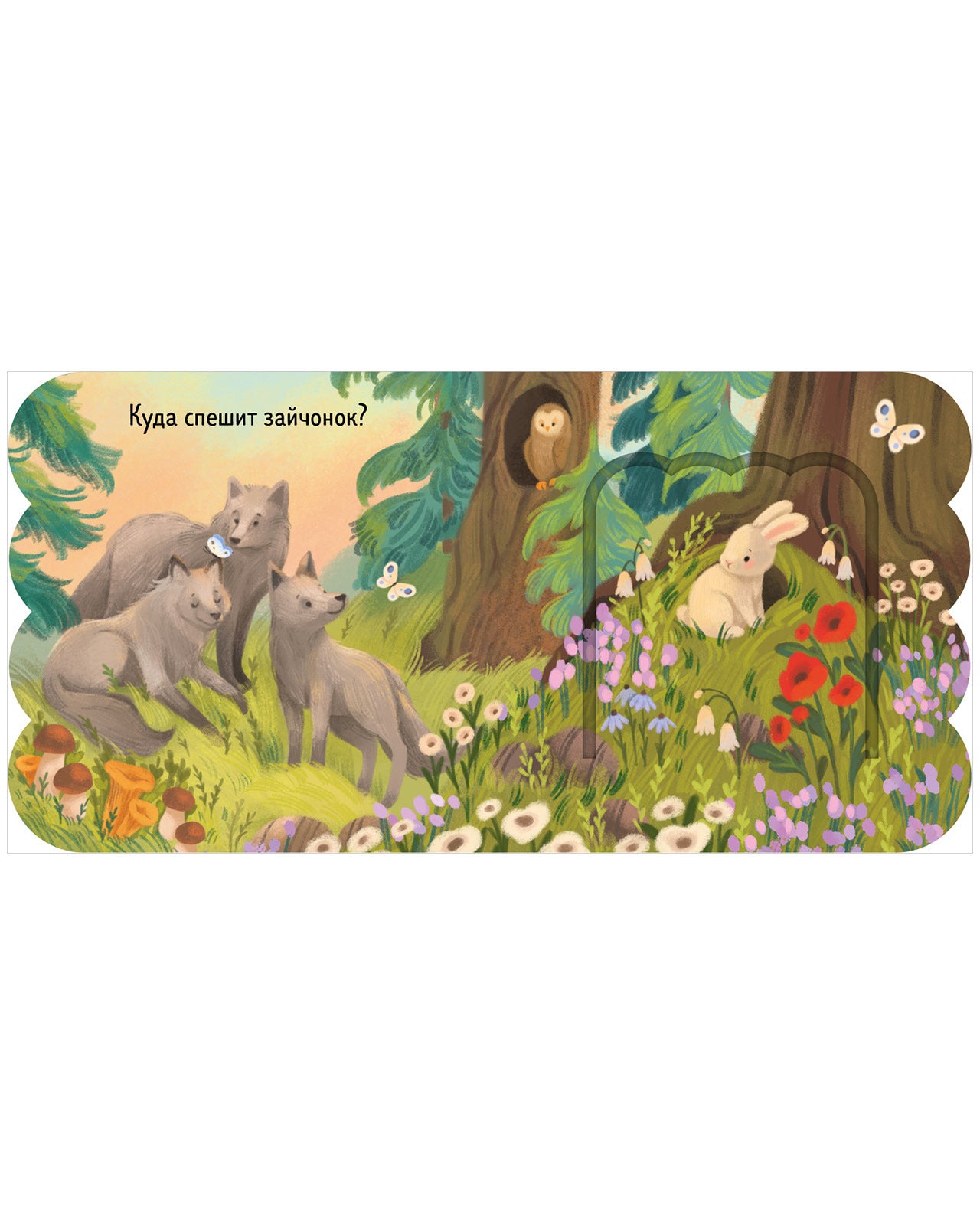 Книжка с окошками. Лес