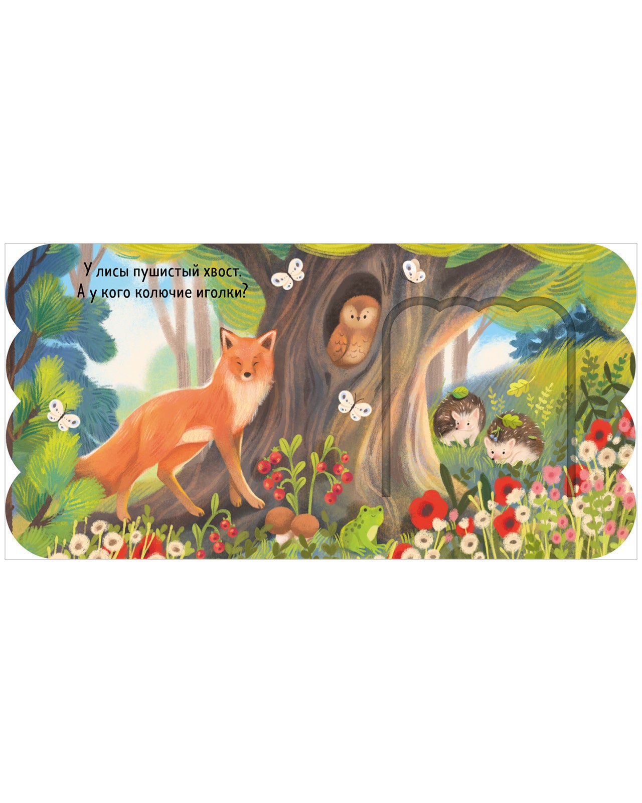 Книжка с окошками. Лес