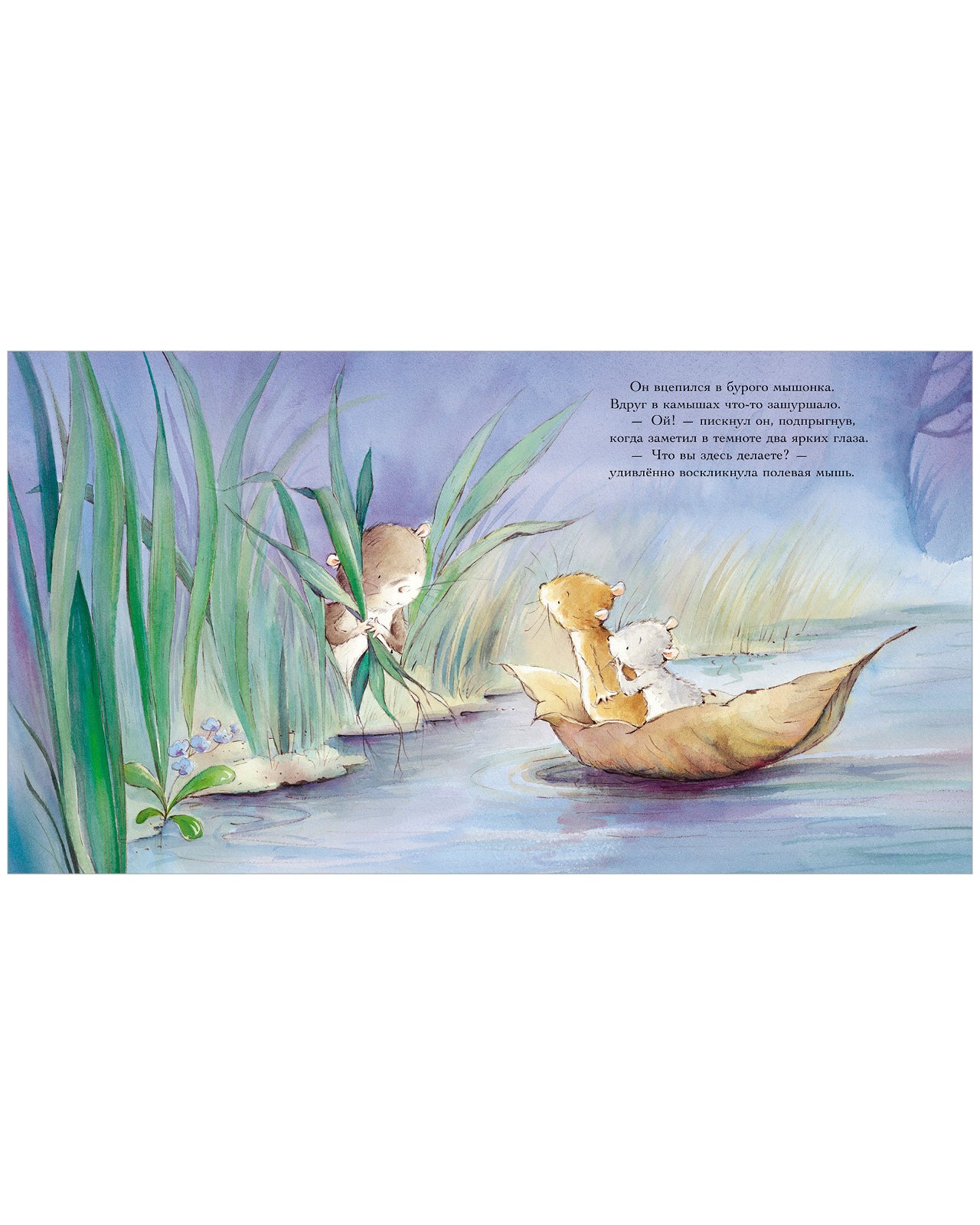 Книжки-картинки. Счастливая звезда