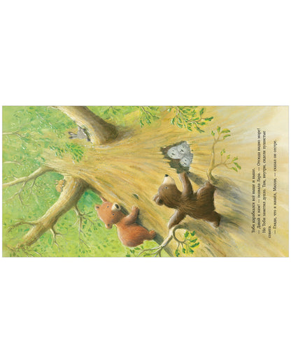 Книжки-картинки. Секрет храброго медвежонка