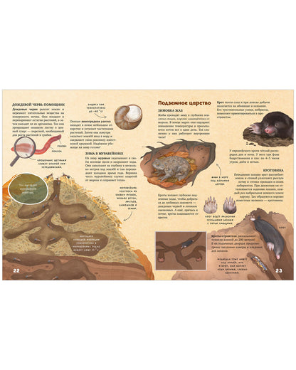Удивительные энциклопедии. Секреты осеннего леса. Визуальная энциклопедия