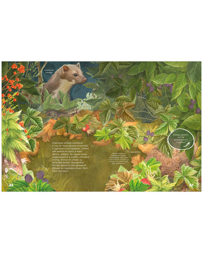 Удивительные энциклопедии. Секреты осеннего леса. Визуальная энциклопедия