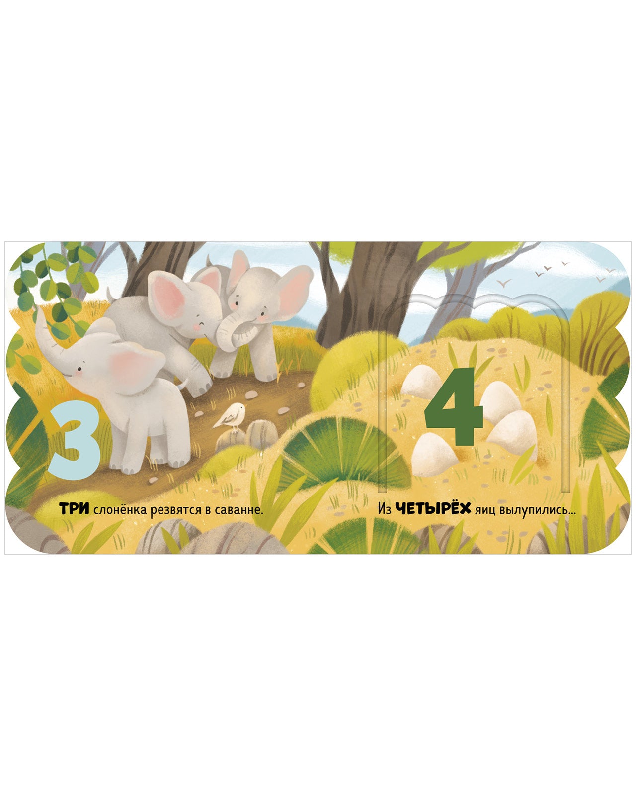 Книжка с окошками. Первый счёт