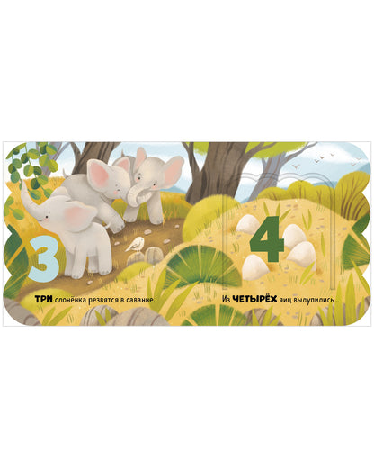 Книжка с окошками. Первый счёт