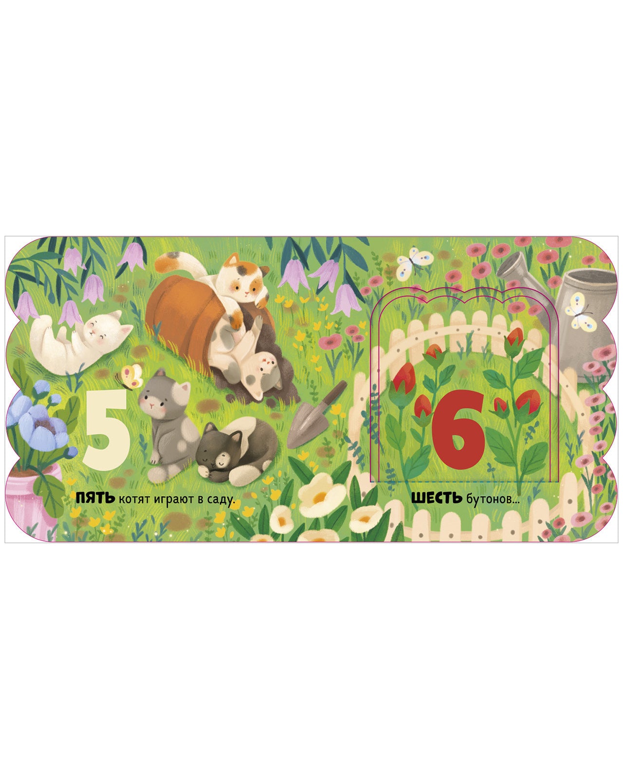 Книжка с окошками. Первый счёт