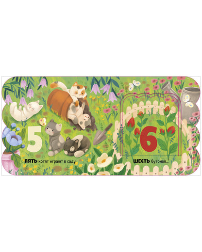 Книжка с окошками. Первый счёт