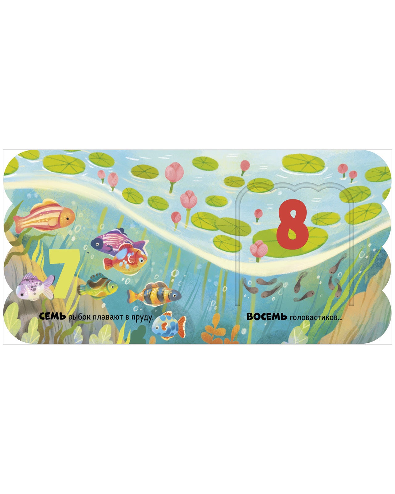 Книжка с окошками. Первый счёт